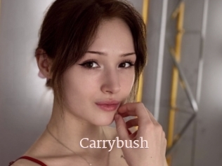 Carrybush