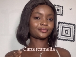 Cartercamelia