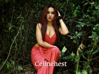 Celinehest