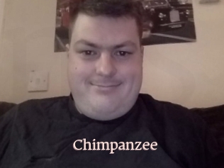 Chimpanzee
