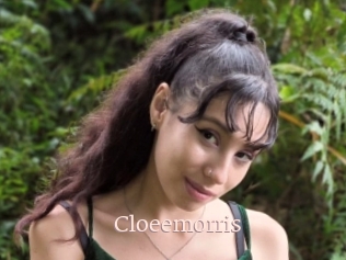 Cloeemorris