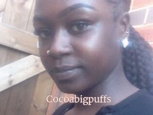 Cocoabigpuffs