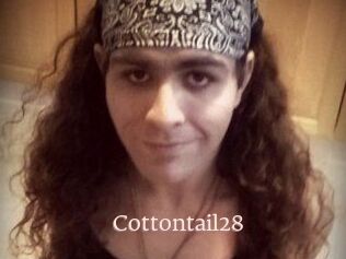 Cottontail28