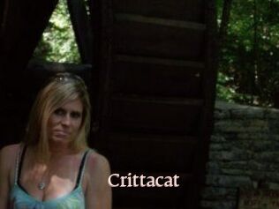 Crittacat