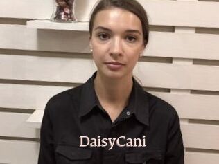 DaisyCani