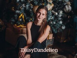 DaisyDandelion