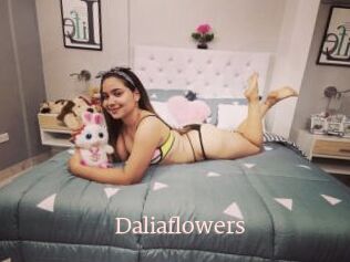 Daliaflowers