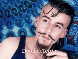 DominicTerrier