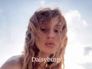 Daisyburge