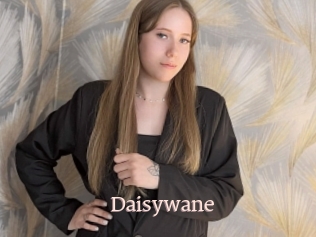 Daisywane