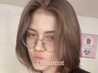 Dinamint