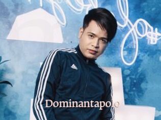 Dominantapolo