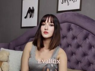 EvaBrix