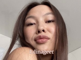 Edinageer