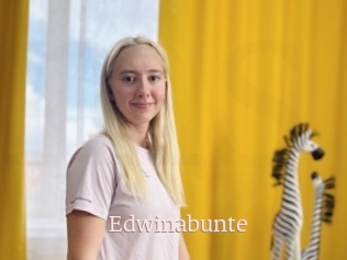 Edwinabunte