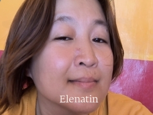 Elenatin