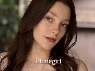 Elenegitt