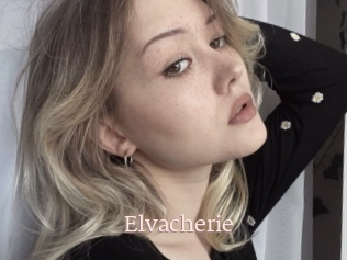 Elvacherie