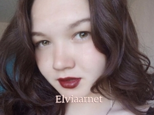 Elviaarnet