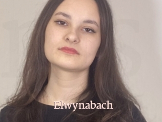 Elwynabach