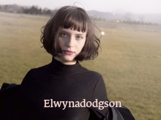 Elwynadodgson