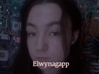 Elwynagapp