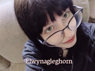 Elwynagleghorn
