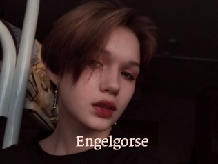Engelgorse