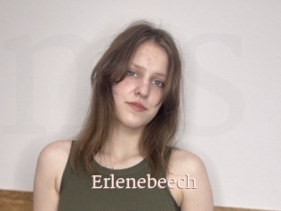 Erlenebeech