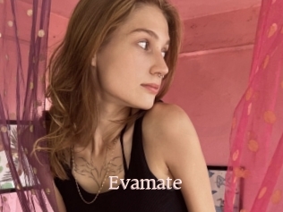 Evamate