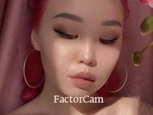 FactorCam