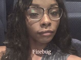 Firebug