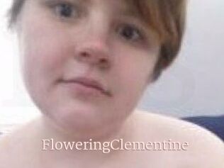 FloweringClementine