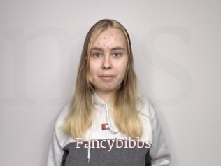 Fancybibbs