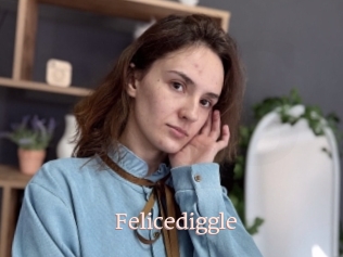 Felicediggle