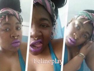 Felineplay