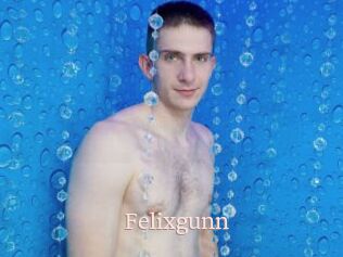 Felixgunn