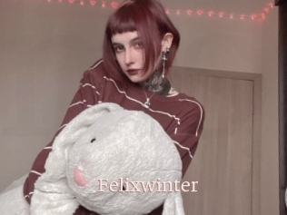 Felixwinter