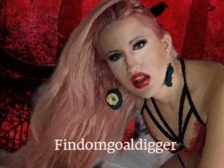 Findomgoaldigger