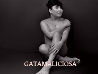GATAMALICIOSA