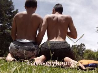 Gaysveryhorny