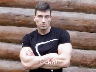 Gektor