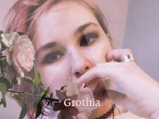 Grothia