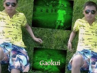 Gaokui