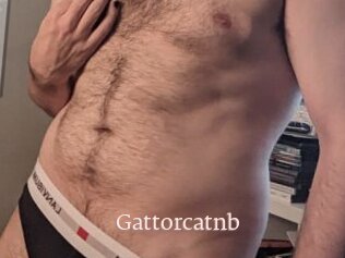 Gattorcatnb