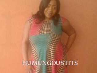 HUMUNGOUSTITS