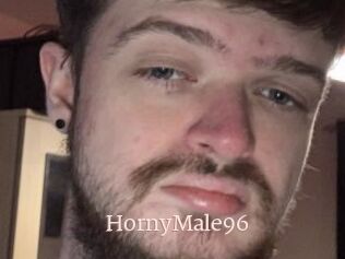 HornyMale96