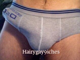 Hairygay9iches