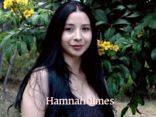 Hamnaholmes