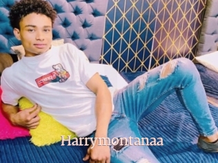 Harrymontanaa